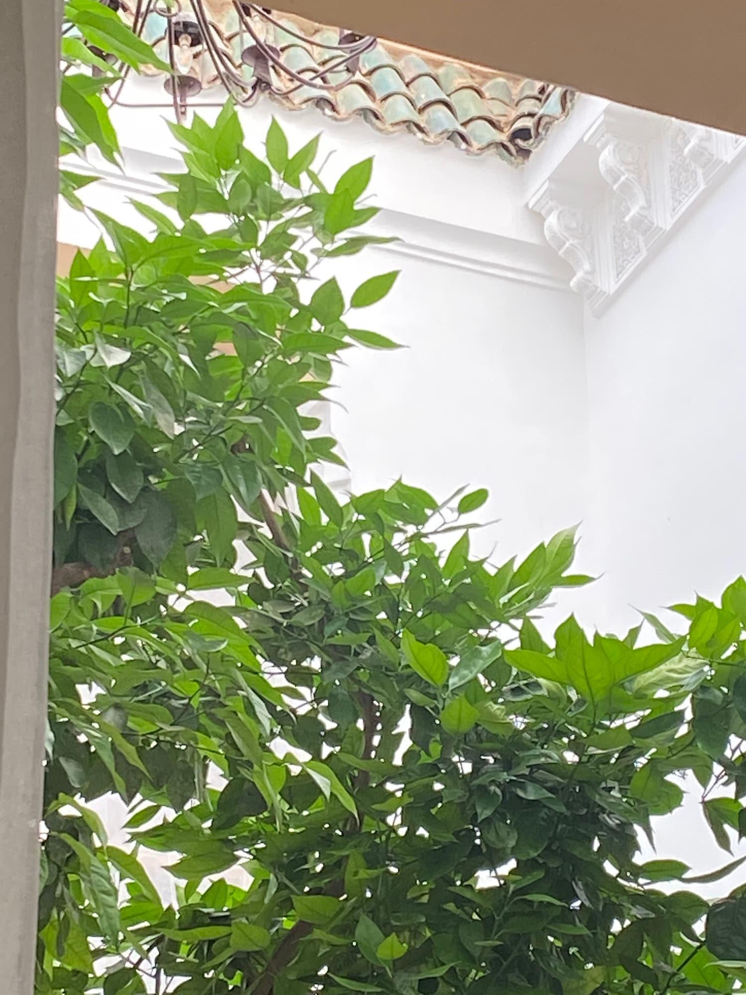Riad Les Orangers D'Alilia Марракеш Экстерьер фото