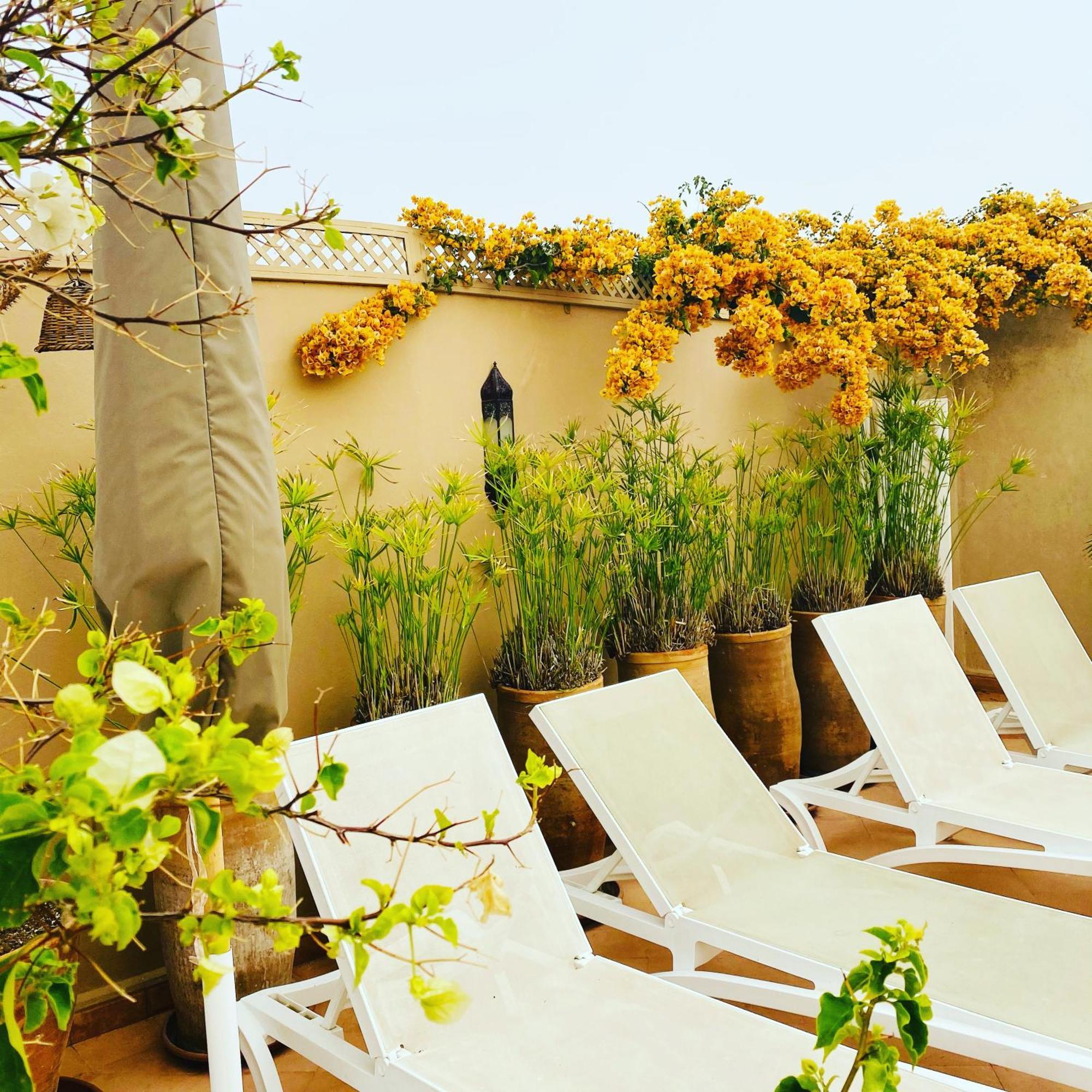 Riad Les Orangers D'Alilia Марракеш Экстерьер фото