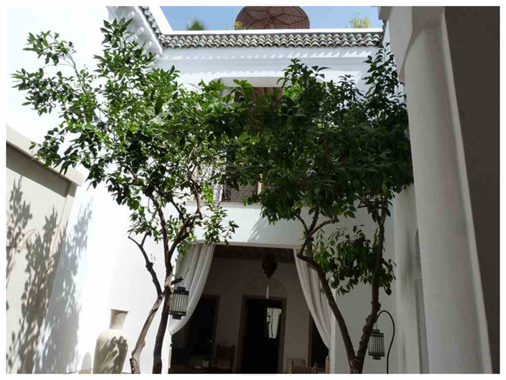 Riad Les Orangers D'Alilia Марракеш Экстерьер фото